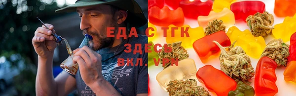 дживик Богородицк