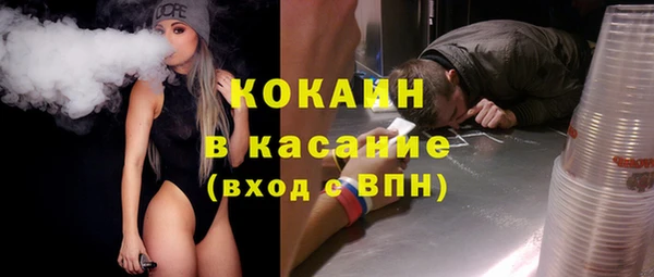 прущие грибы Бородино