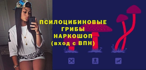 прущие грибы Бородино