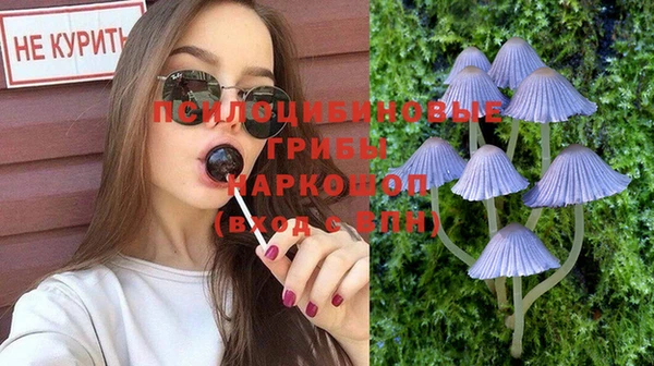 spice Бронницы