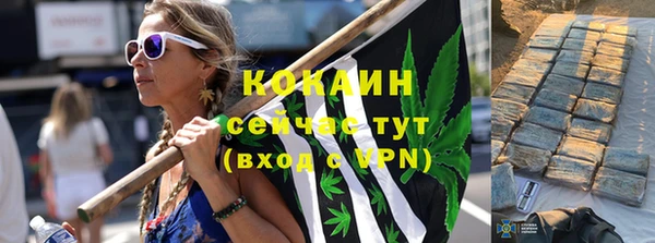 дживик Богородицк