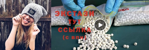 дживик Богородицк