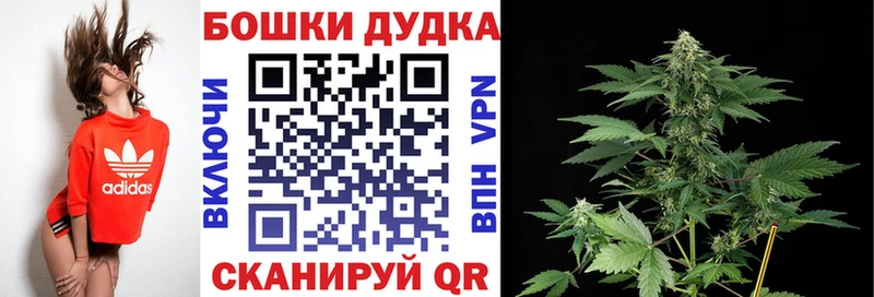 Шишки марихуана семена  Купить закладки  Полевской 